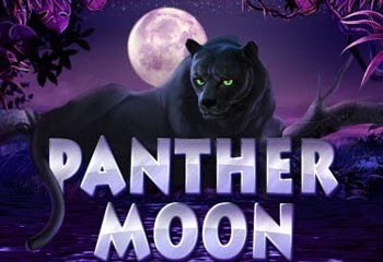 Panther Moon